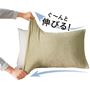 オリーブグリーン<br>ぐ～んと伸びる!
