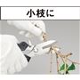 小枝に