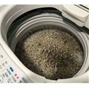 根こそぎ革命