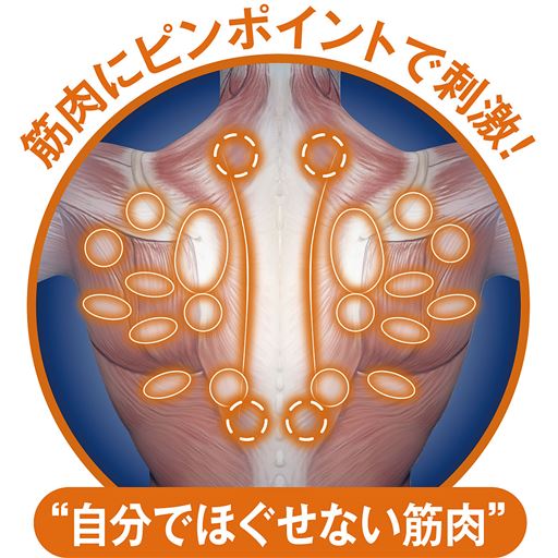 筋肉にピンポイントで刺激!