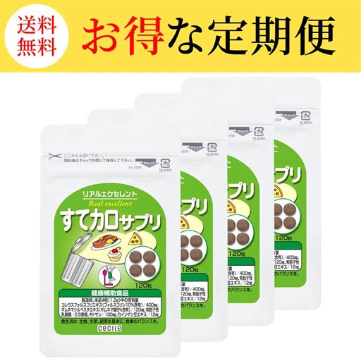 【定期便】リアルエクセレント すてカロサプリ120日分