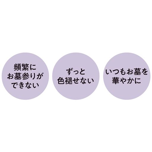 花入に挿すだけの簡単設置でキレイが続く!