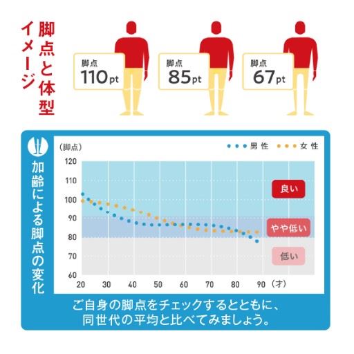 脚点と体型イメージ