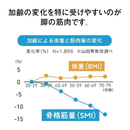 加齢の変化を特に受けやすいのが脚の筋肉です。