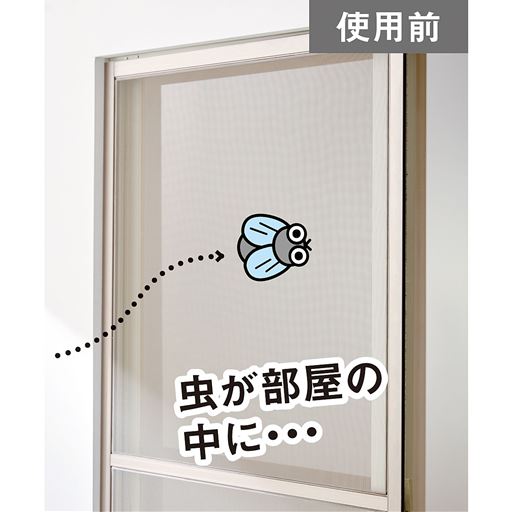 虫が部屋の中に・・・