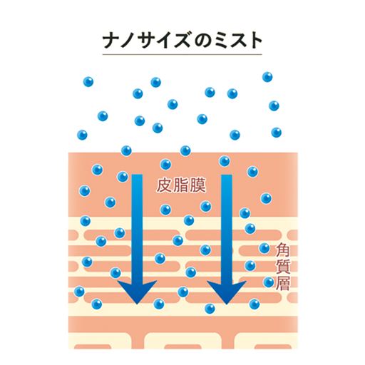 ※イメージ