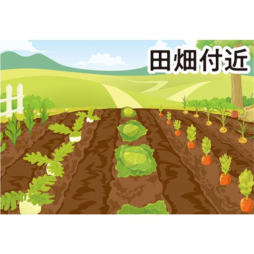 田畑付近