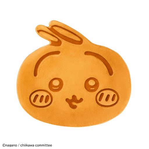 普段のうさぎ