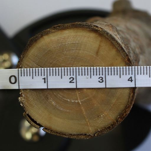 切断できる枝の太さは最大約4cm!