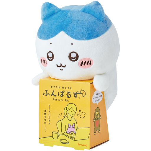 B(ハチワレ)