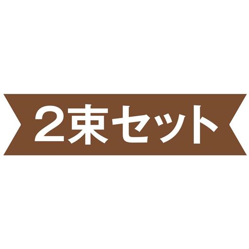 2束セット