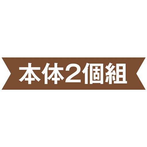 本体2個組
