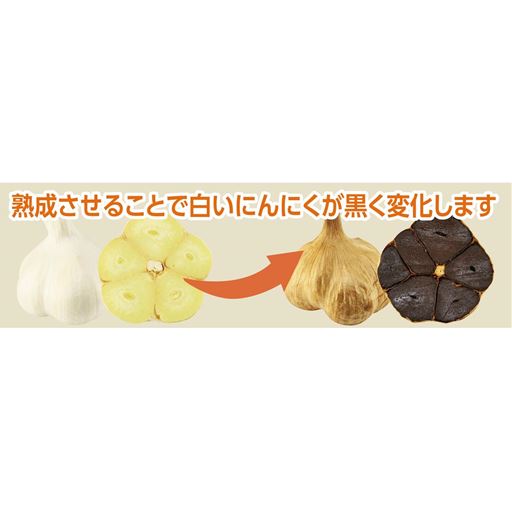 熟成させることで白いにんにくが黒く変化します。