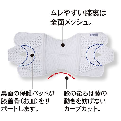 ※イメージ