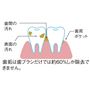 口腔ケア・歯石予防・歯周病対策に!