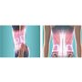 ベルト引き締め×EMSトレーニング Wアプローチで効果的にお腹まわりを引き締める!! EMS 低・中・高周波の刺激でくびれ筋(腹斜筋)を挟みこんでパワフルに刺激。