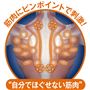 筋肉にピンポイントで刺激!