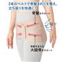 2本のベルトで骨盤まわりを整え、立ち座りを快適に!