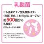 乳酸菌