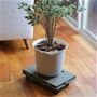 植木鉢を乗せて