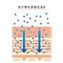 ※イメージ