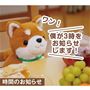 コウタはこんな事ができます!