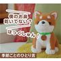 コウタはこんな事ができます!