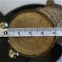 切断できる枝の太さは最大約4cm!