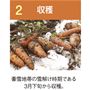 収穫