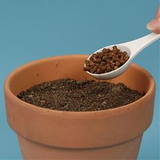 ニーム肥料