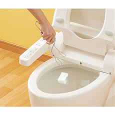 流せるトイレ洗い