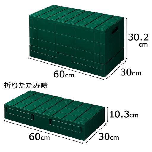 グリーン B (スタンダード) 容量約38.5L<br>内寸:約幅55.5×奥行25.5×高さ28.5cm