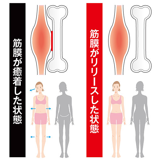 ※イメージ