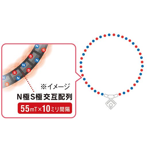 N極S極交互配列