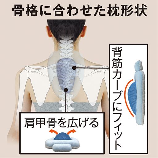 骨格に合わせた枕形状