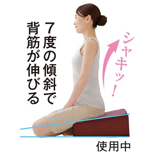 どこでもちょこん、と姿勢改善!