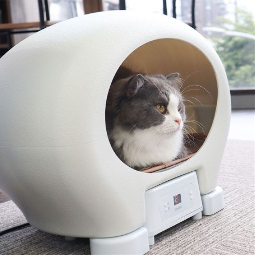 外は暑そうだけどこの中は快適だにゃ～ん