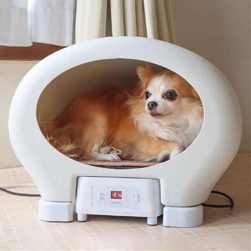 寒がりの僕にはうれしいワン