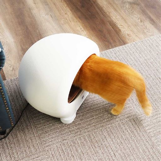 快適なお部屋だにゃ～ん