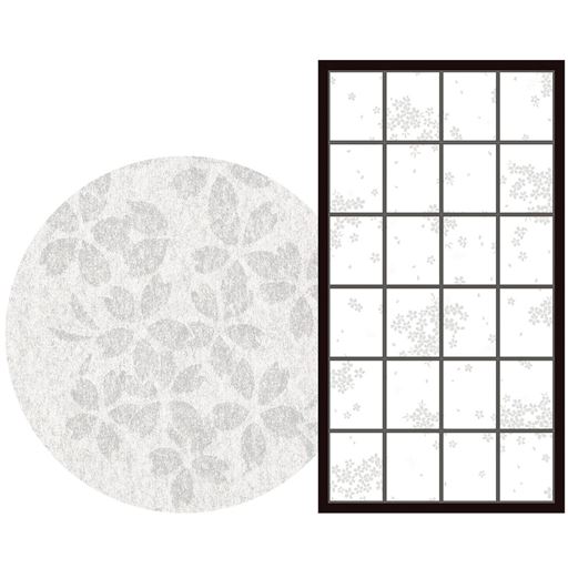 C(桜)