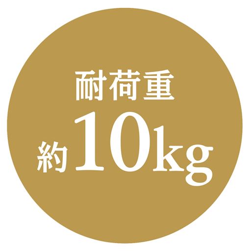 耐荷重 約10Kg