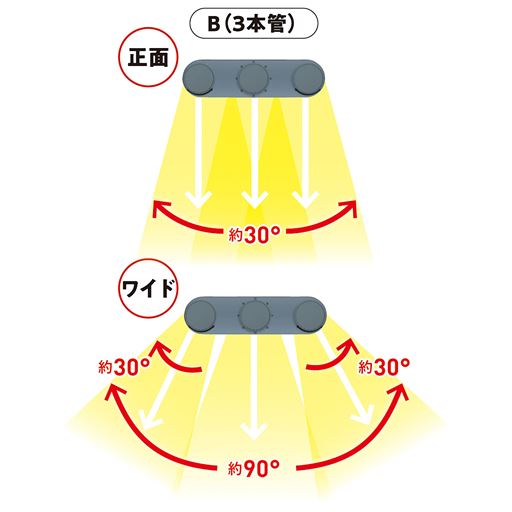 B(3本管)