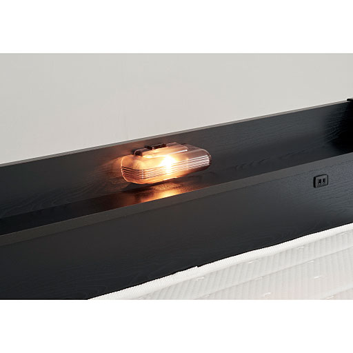 照明は白熱灯(10W)を使用。