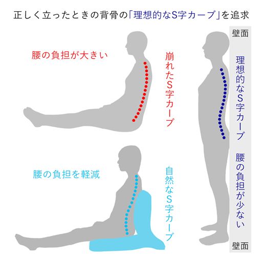 正しく立ったときの背骨の理想的なS字カーブを追求しました。