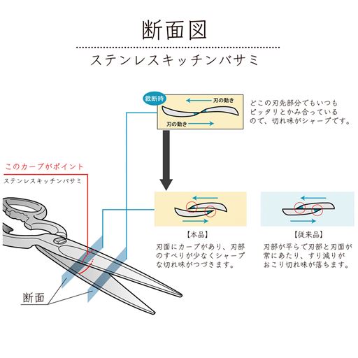 刃の断面図