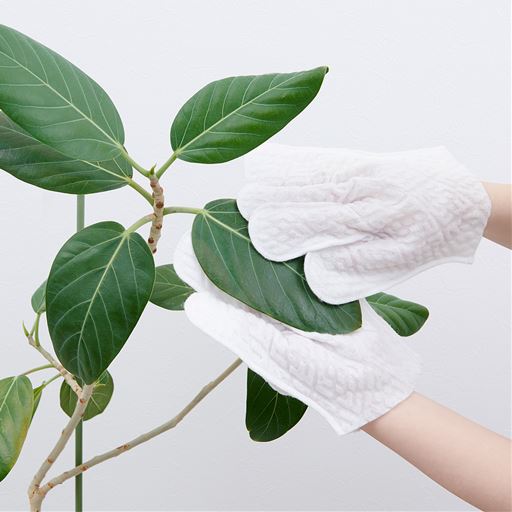 デリケートな植物も優しくお掃除