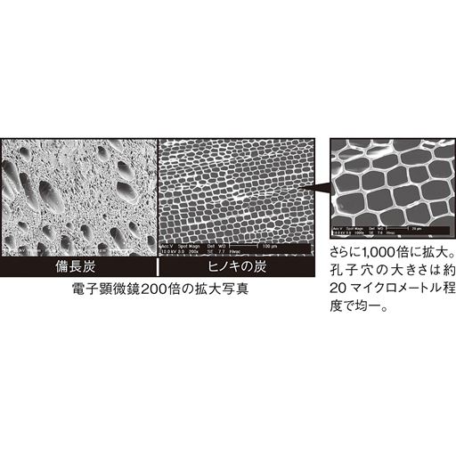 ヒノキの炭は多孔質