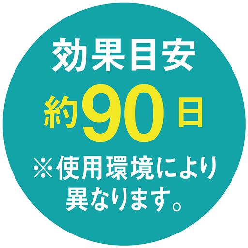 効果目安約90日※使用環境により異なります。