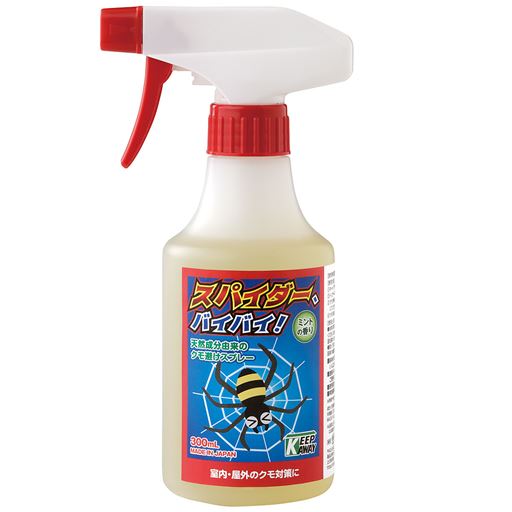 スパイダー、バイバイ!