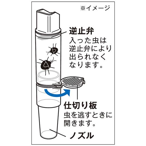 ※イメージ